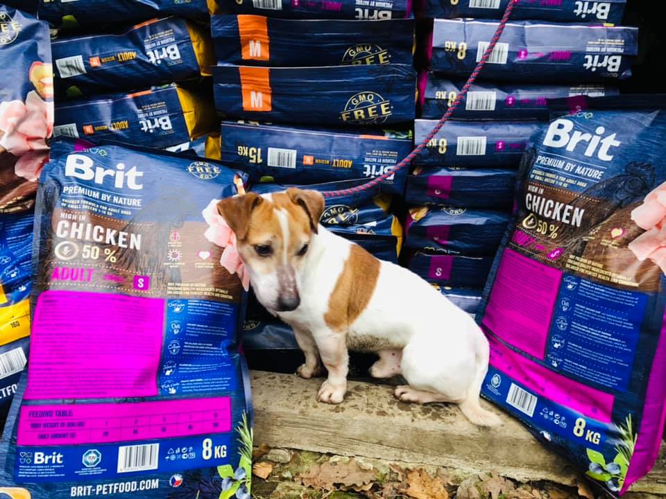 ??? CLICK AND FEED ??? Ma to smysl????